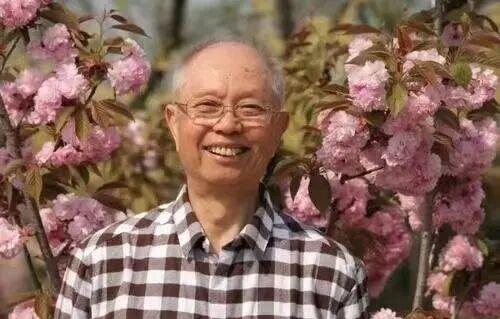 著名作曲家铁源病逝！《十五的月亮》《在那桃花盛开的地方》等作品家喻户晓 ... ...