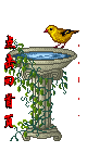 动态小图片2