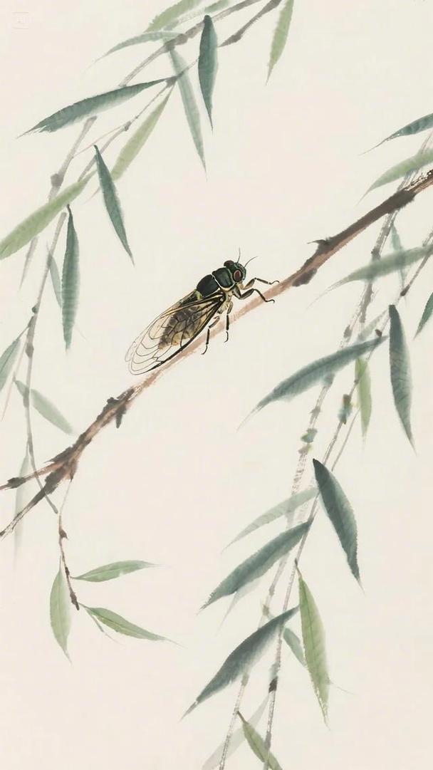 【公告】诗歌中国平台吉祥物正式公布：鸣蝉・知夏